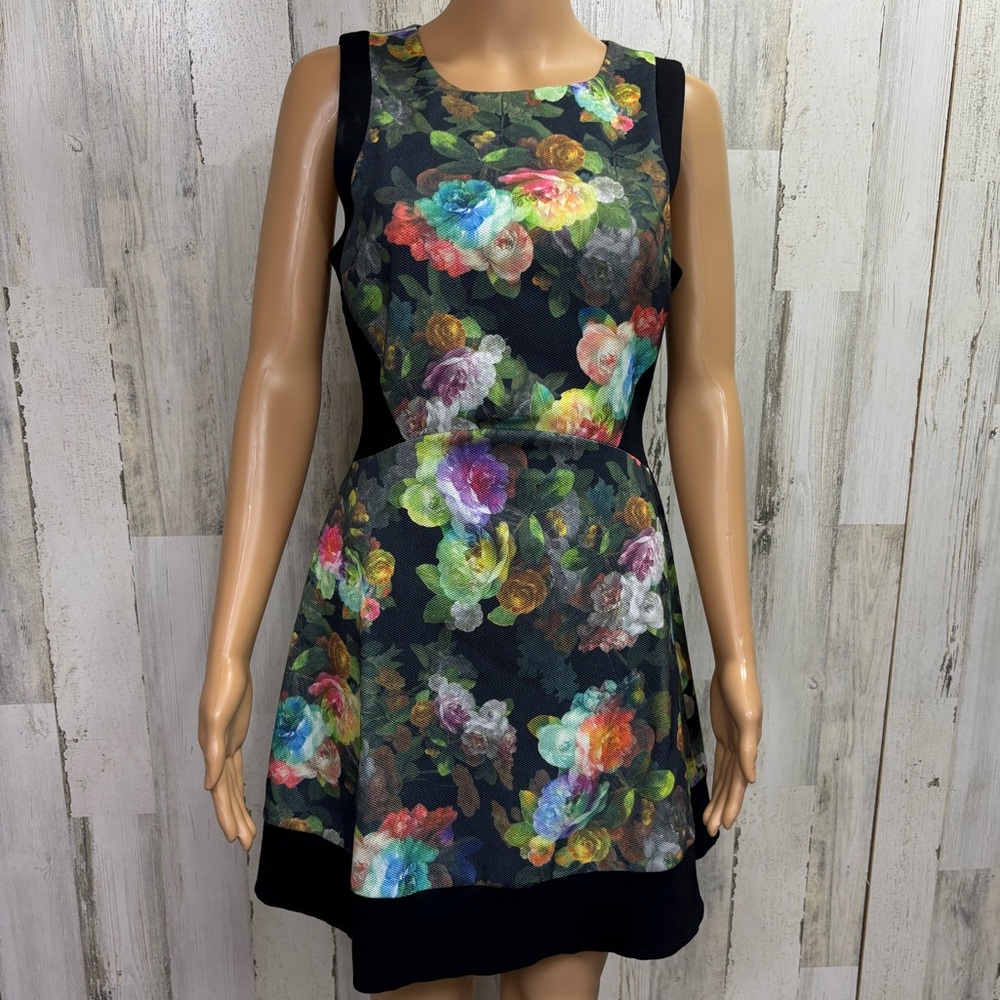 Jealous Tomato Fit and Flare Floral Sleeveless Dress